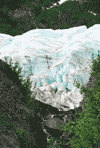 Exit Glacier