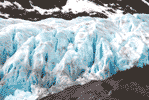 Exit Glacier - close up