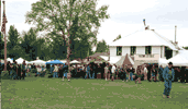 Talkeetna Town Square