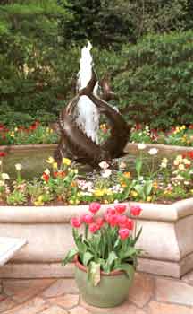 Fish fountain