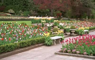 Italian Garden