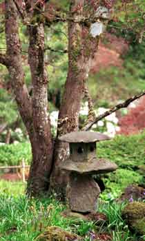 Japanese garden