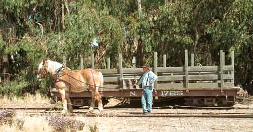 Horse drawn train.