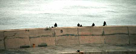 Fishing on the bulkhead.