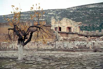Approaching the entrance to the site.