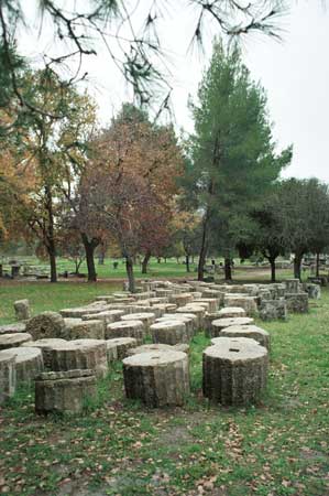 Pieces of broken columns 