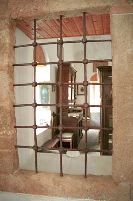 Looking in the library's window. 