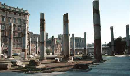 Another view of the Forum - groundlevel.