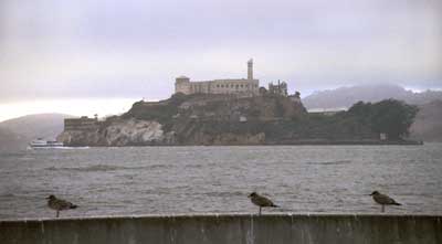 Alcatraz from Pier 39