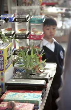 Sidewalk sales in Chinatown