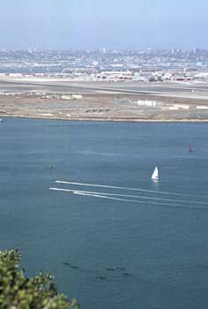 Watching the Navy Seals training.