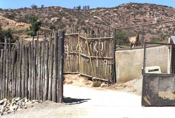 A double gate half open. Note the antlers hanging on the wall.