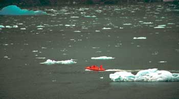 You can see the size of the ice floes compared with the boat