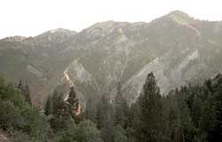 Mt. Nebo view