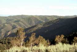 Mt. Nebo view