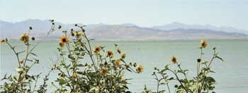 Utah Lake