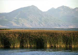 Utah Lake looking west
