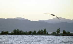 Utah Lake at dusk